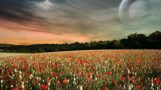 非计算机专业，好奇为什么会出现“程序依赖bug运行”的情况？